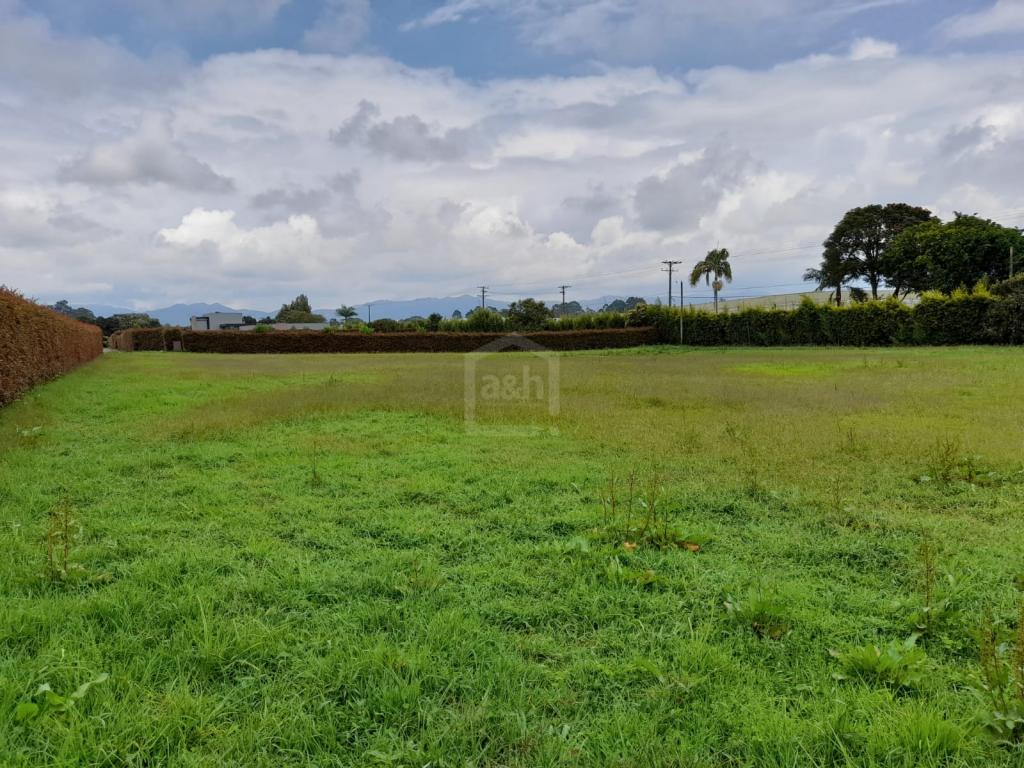 2022060221001768995250258-1