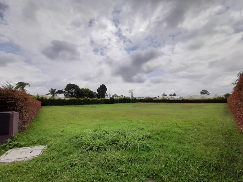 2022060221027668755250258