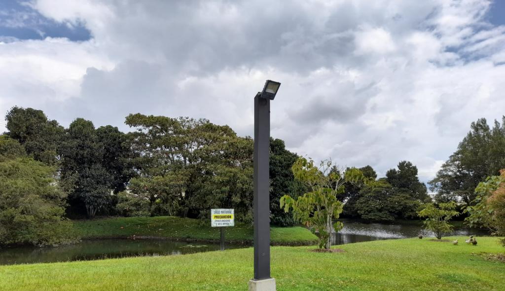 2022060221037846175250258