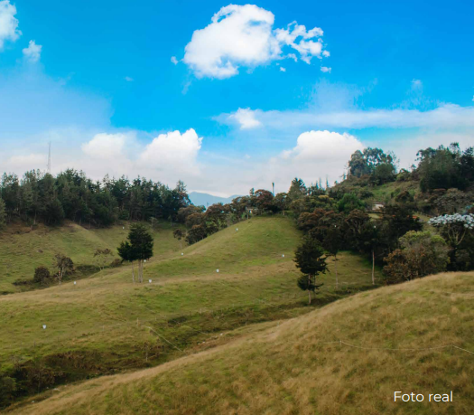 2022060221593267725250271-1