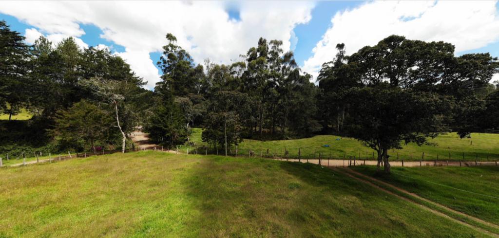 2022060222001572765250271