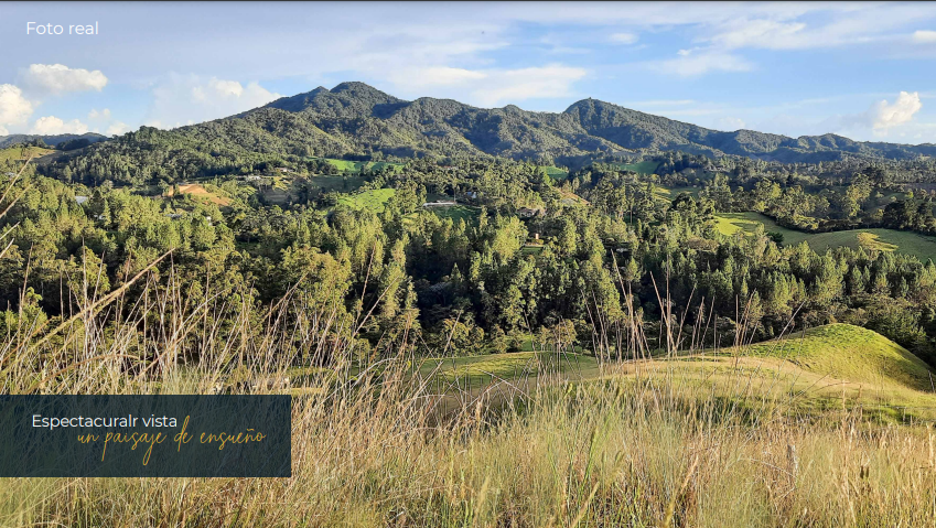 2022060222034842275250271