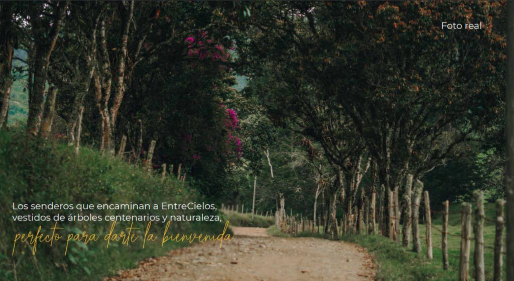 2022060222052818825250271