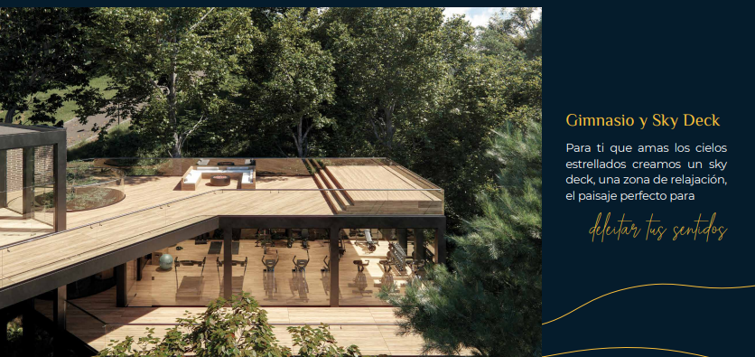 2022060222066534505250271