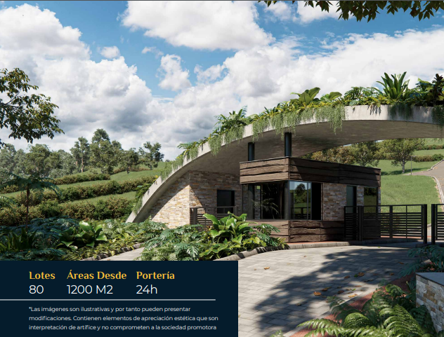 2022060222112072565250271