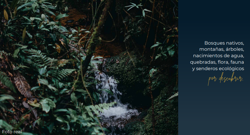 2022060222120971305250271