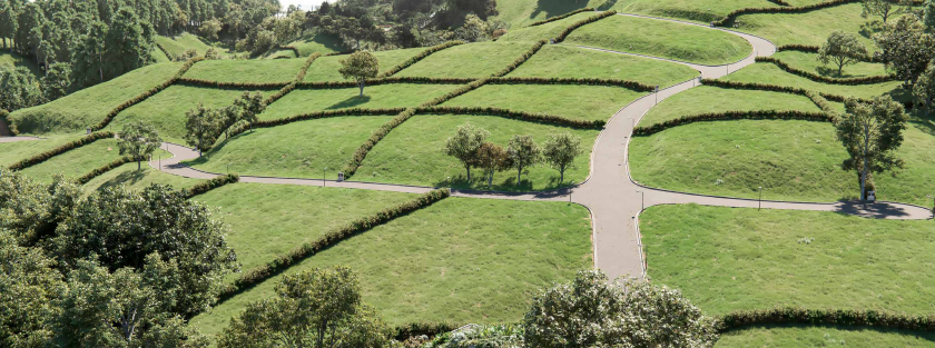 2022060222137511885250271