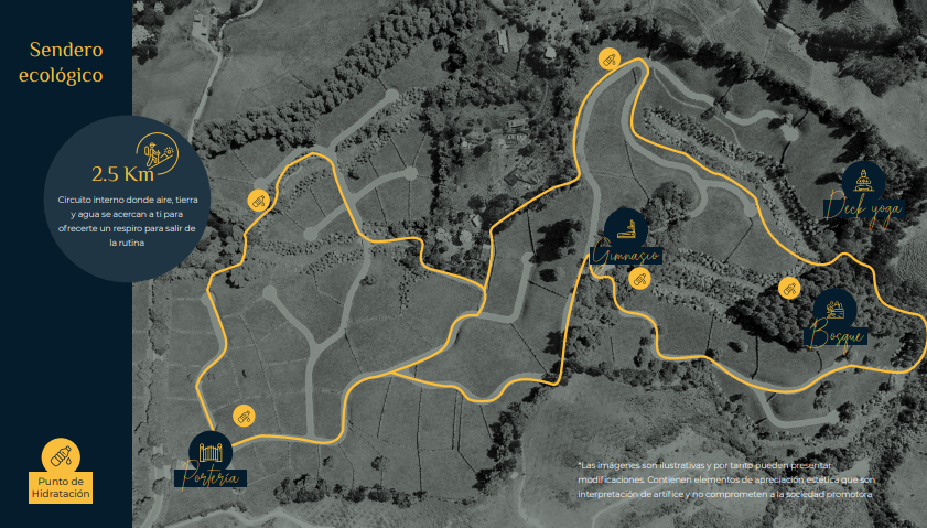 2022060222146427675250271