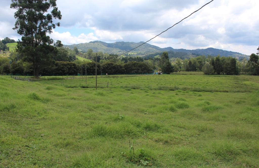 2022060224541711115250308-1