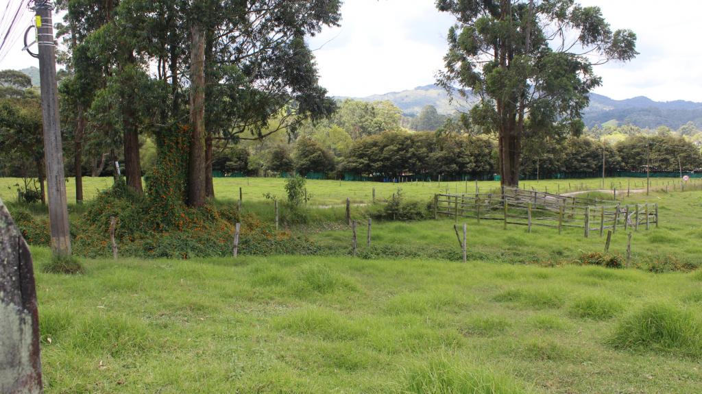 2022060224555427565250308