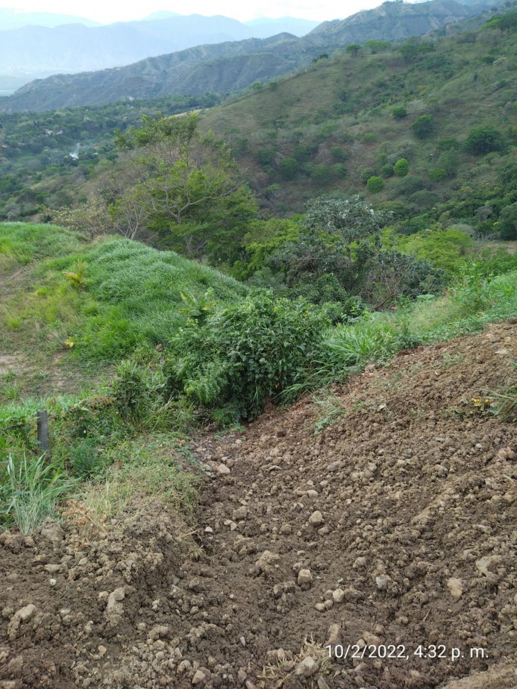 2022060230073532325250375