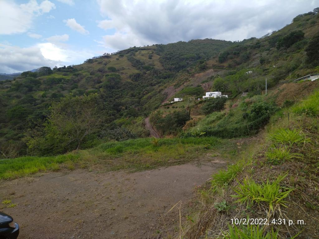 2022060230087426115250375