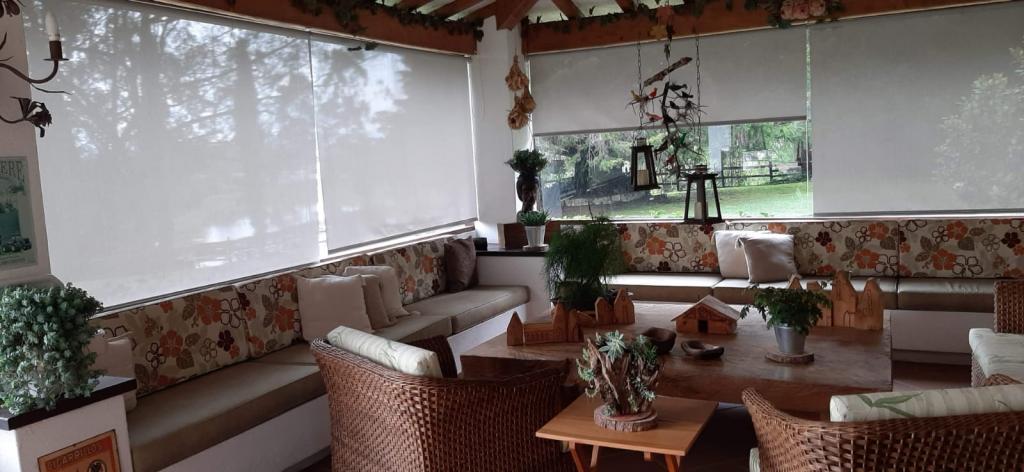 2022060235565600045250451