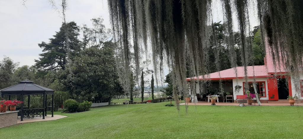 2022060235576931785250451