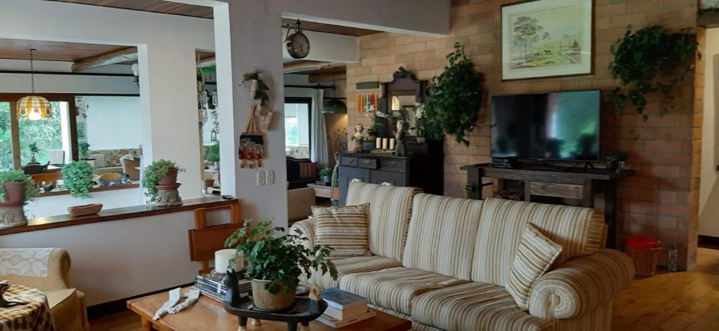 2022060236043280255250451