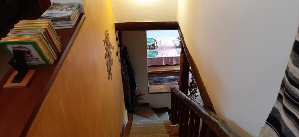 2022060236064482835250451