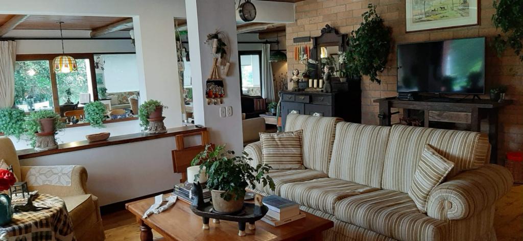 2022060236070981295250451