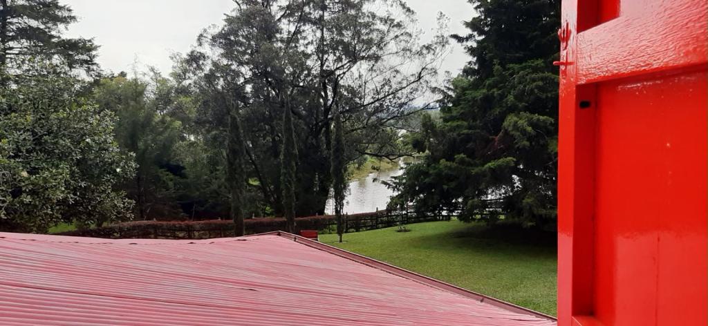 2022060236094265275250451