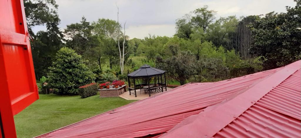 2022060236104928385250451