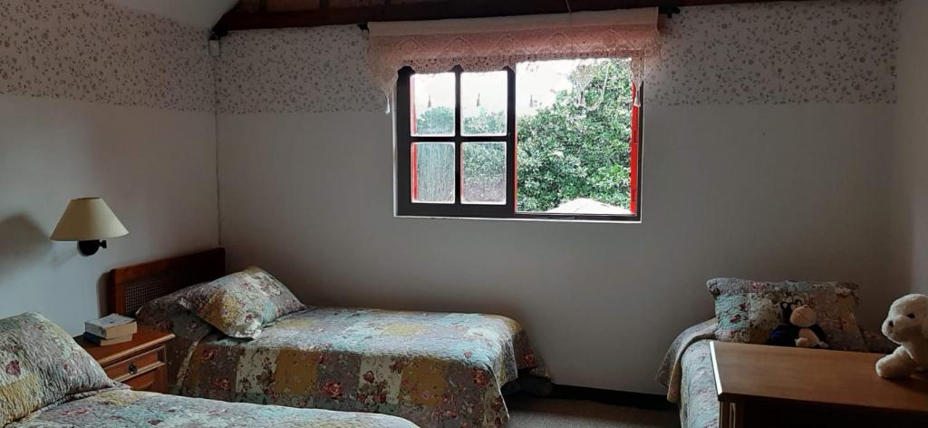 2022060236149992115250451