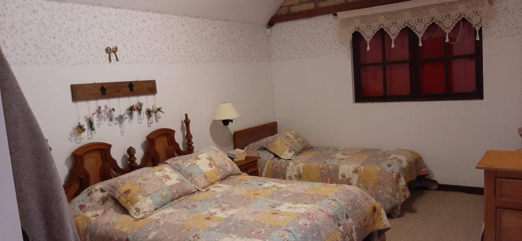 2022060236159111875250451