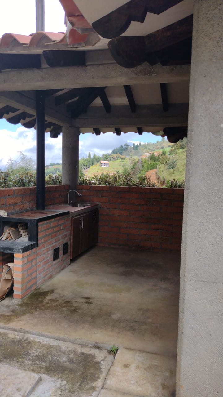 2022060239029728835250492