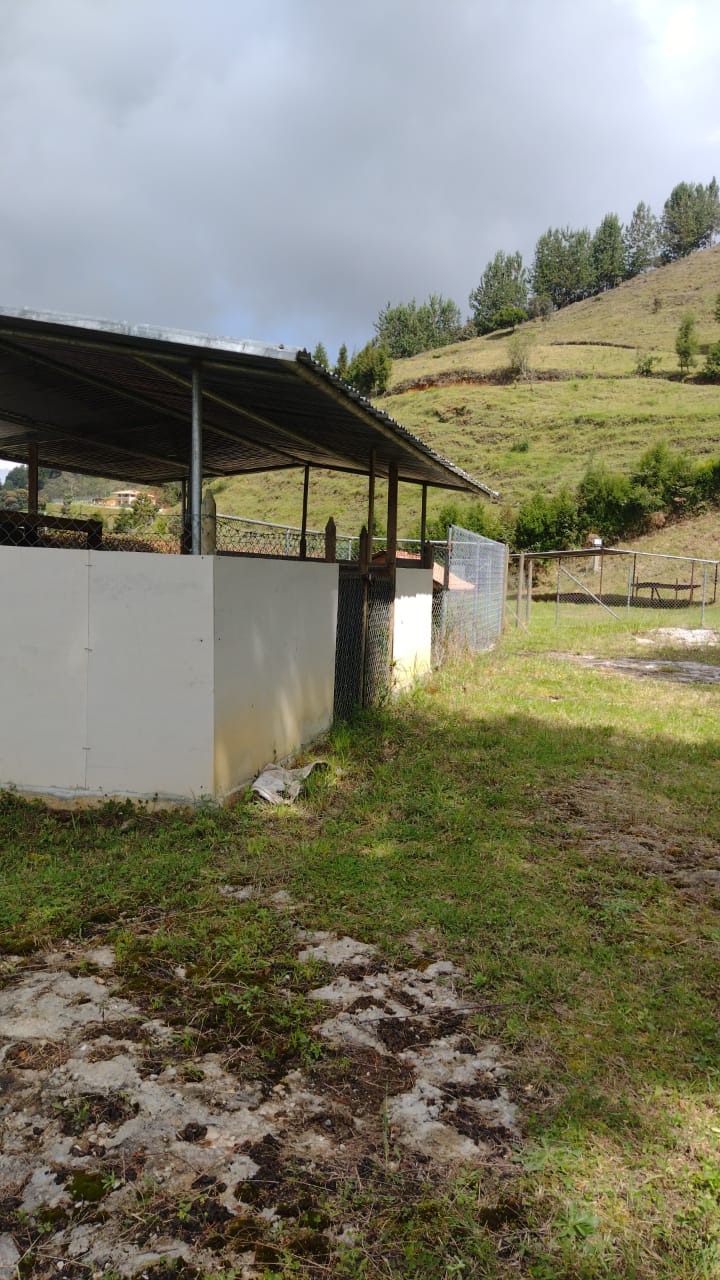 2022060239054701965250492