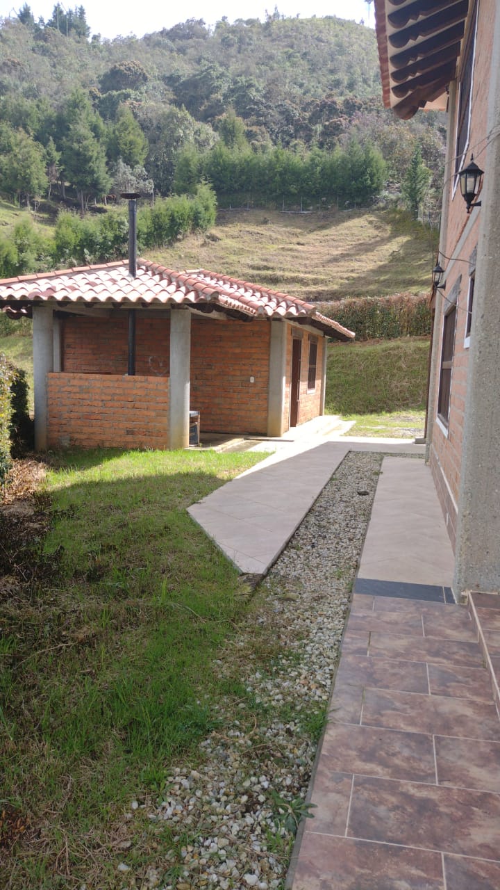 2022060239062863645250492