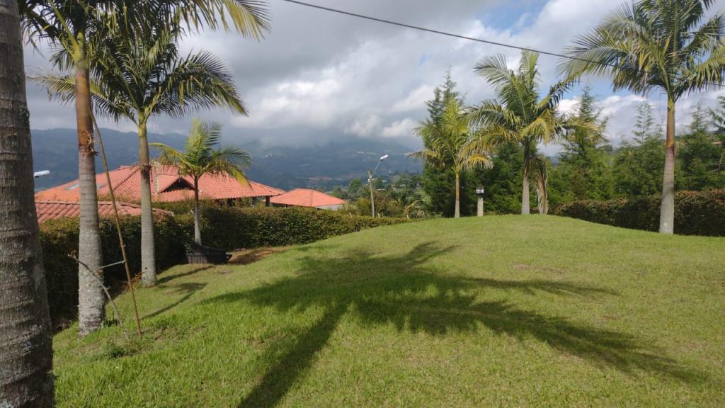 2022060239075169835250492