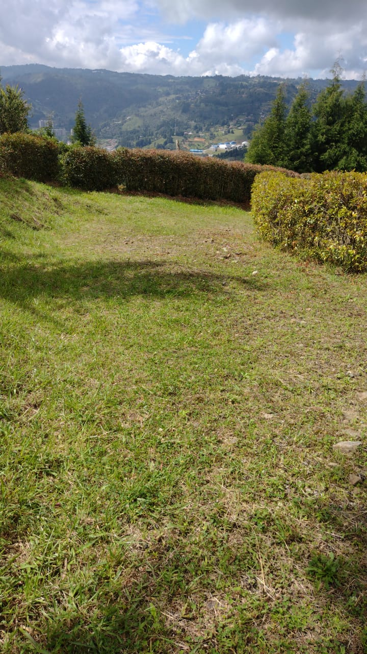 2022060239086923175250492