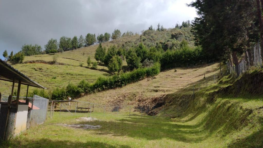 2022060239095079305250492