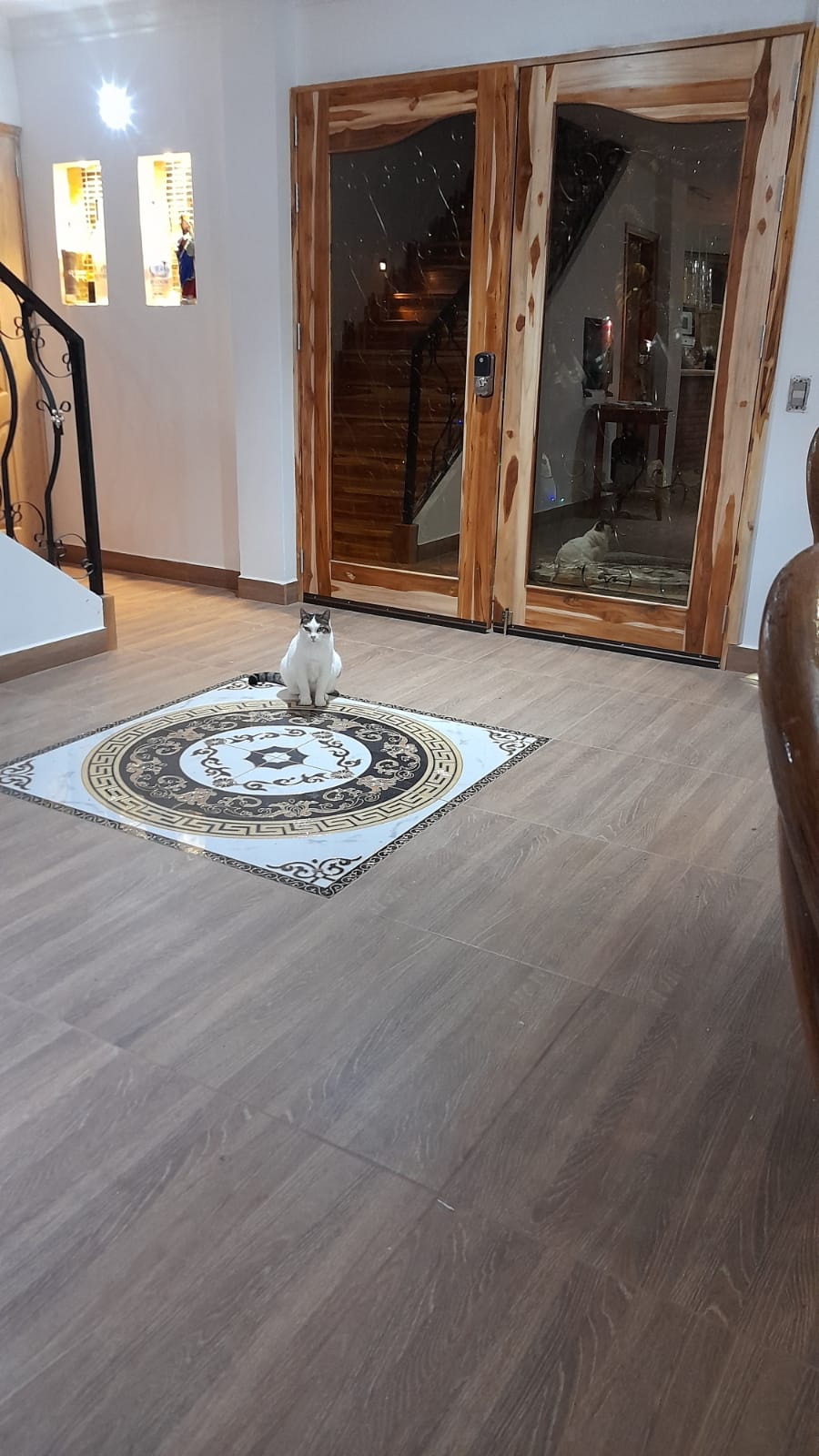 2022060239220494745250500