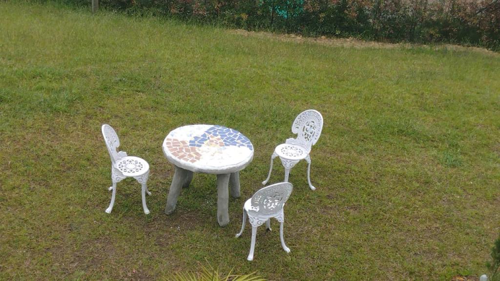 2022060239327006825250500