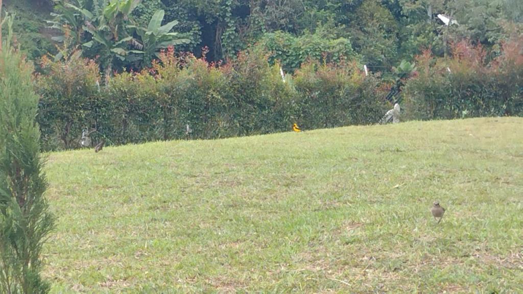 2022060239350623605250500