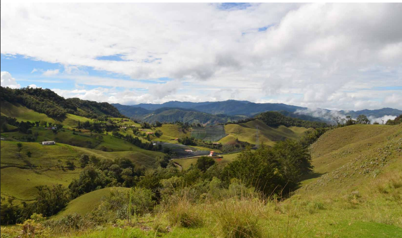 2022060247349394845250617-1