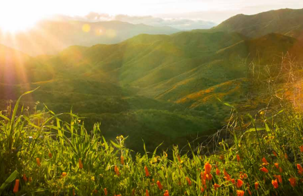 2022060247365085625250617