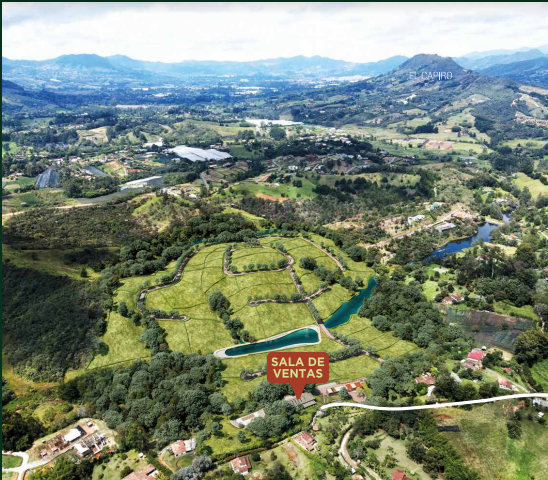 2022060247373449415250617