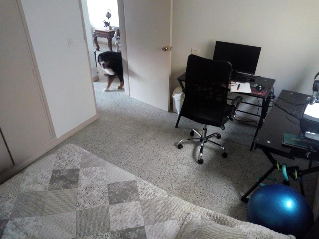 2022060253179451525250684