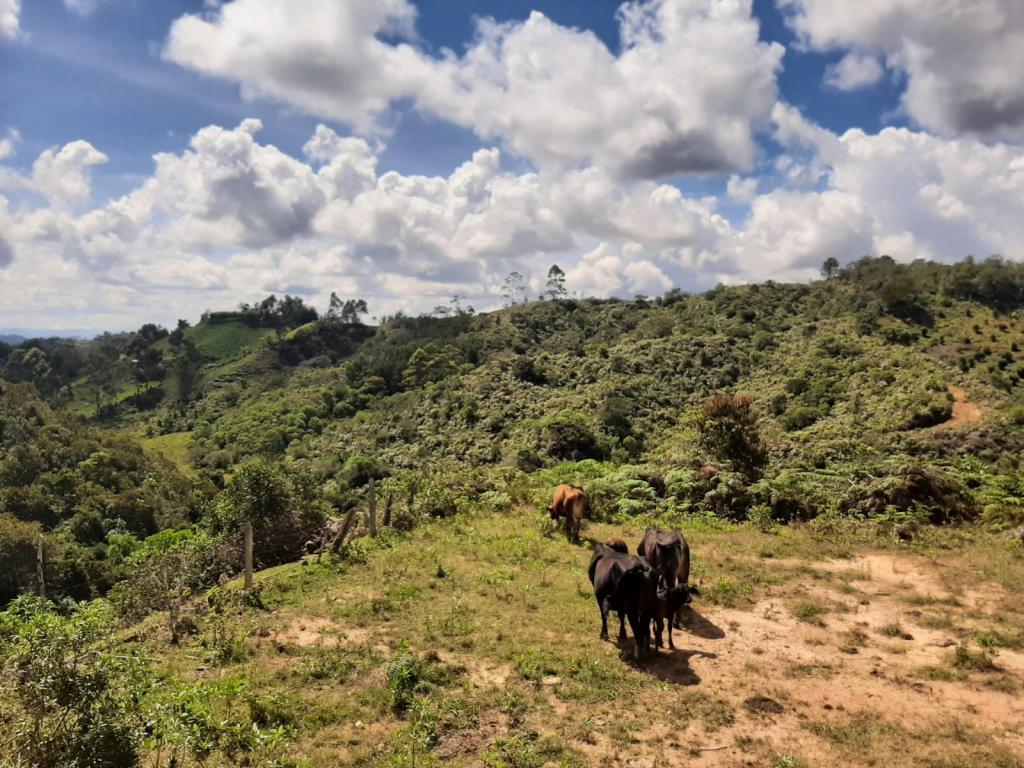 2022060255100055325250710-1