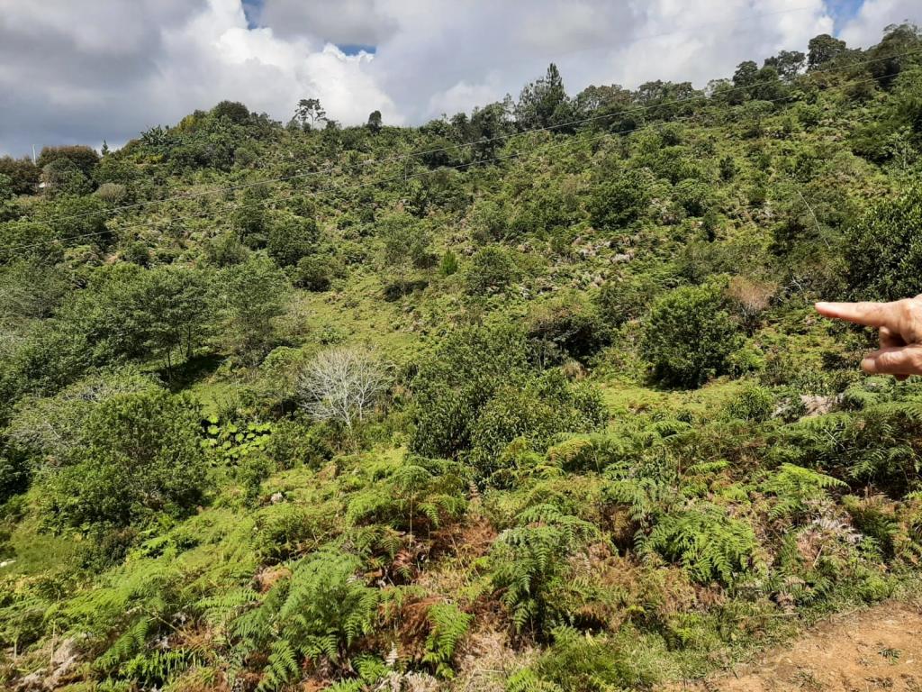 2022060255112866395250710