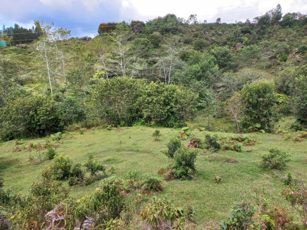 2022060255128754625250710