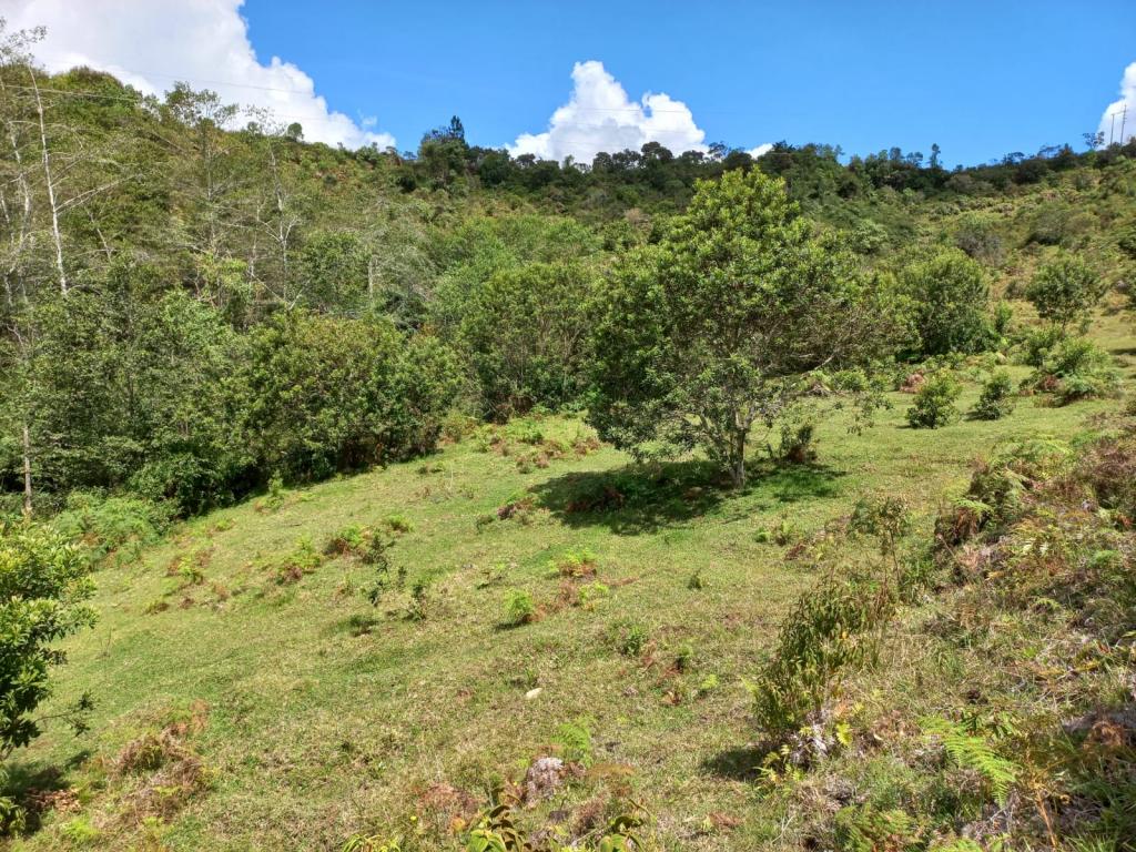 2022060255142037625250710