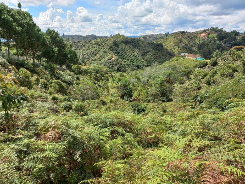 2022060255154820835250710