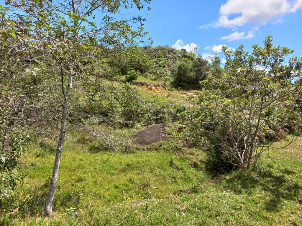 2022060255168627245250710