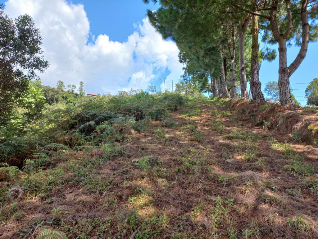 2022060255176789025250710