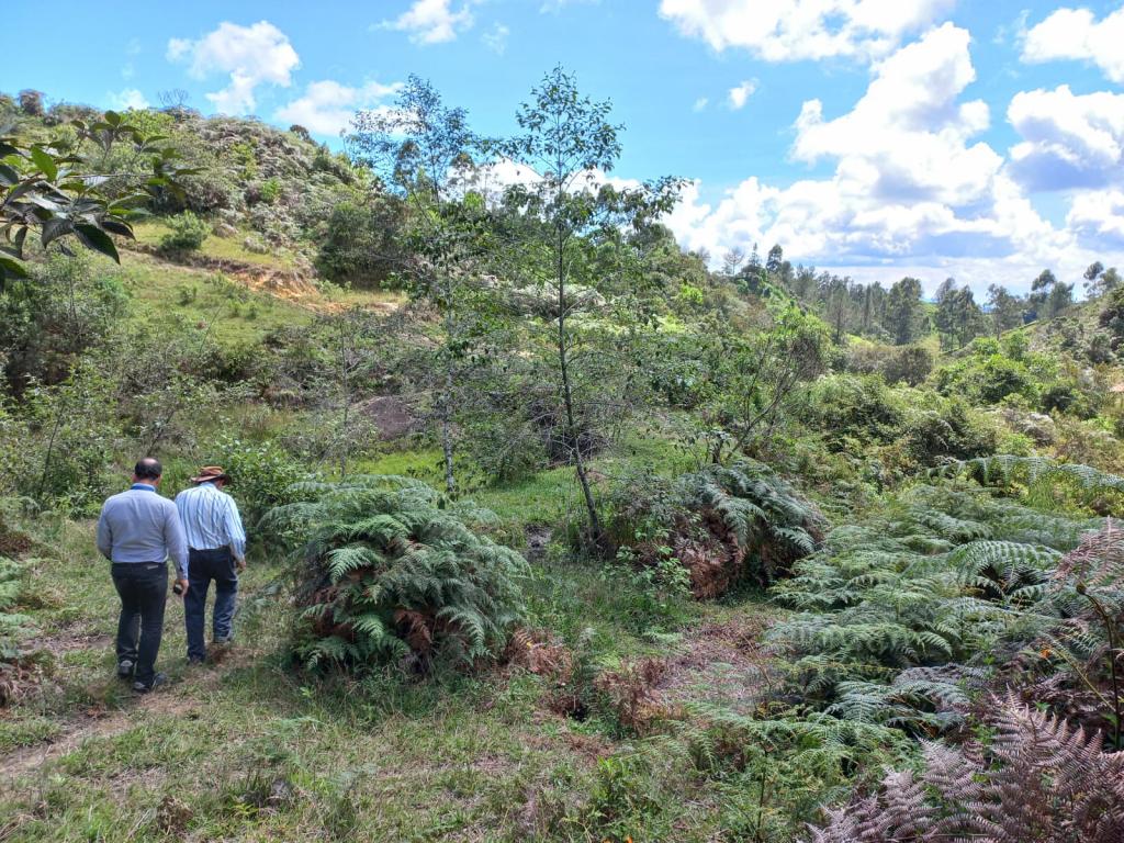 2022060255189301805250710