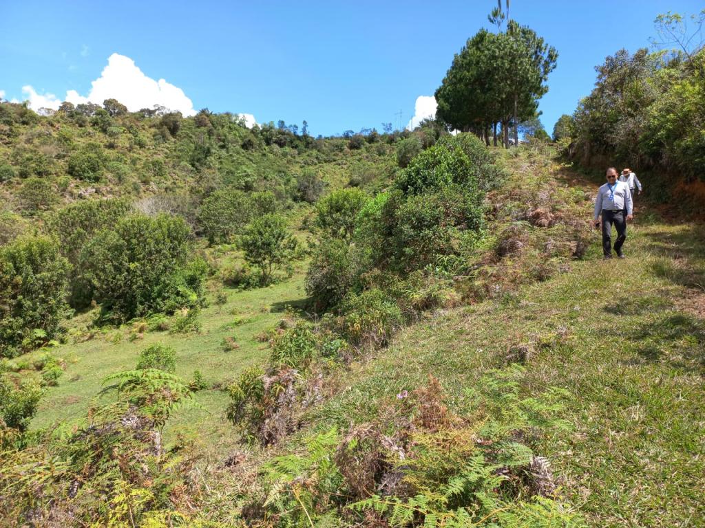 2022060255203330055250710