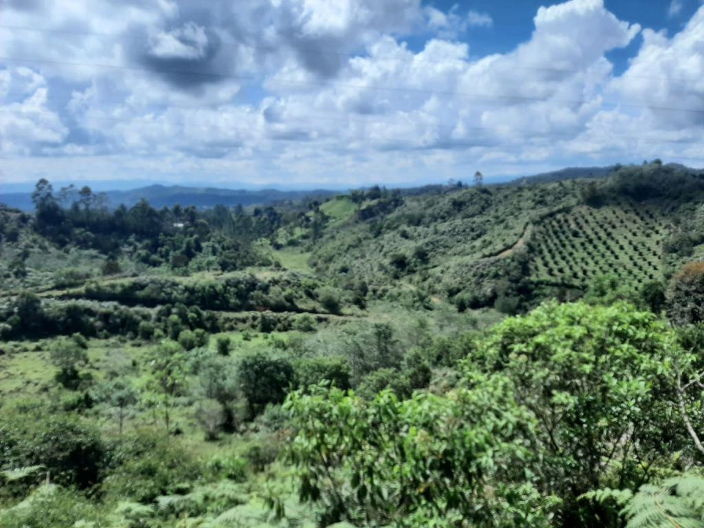 2022060255248602535250710