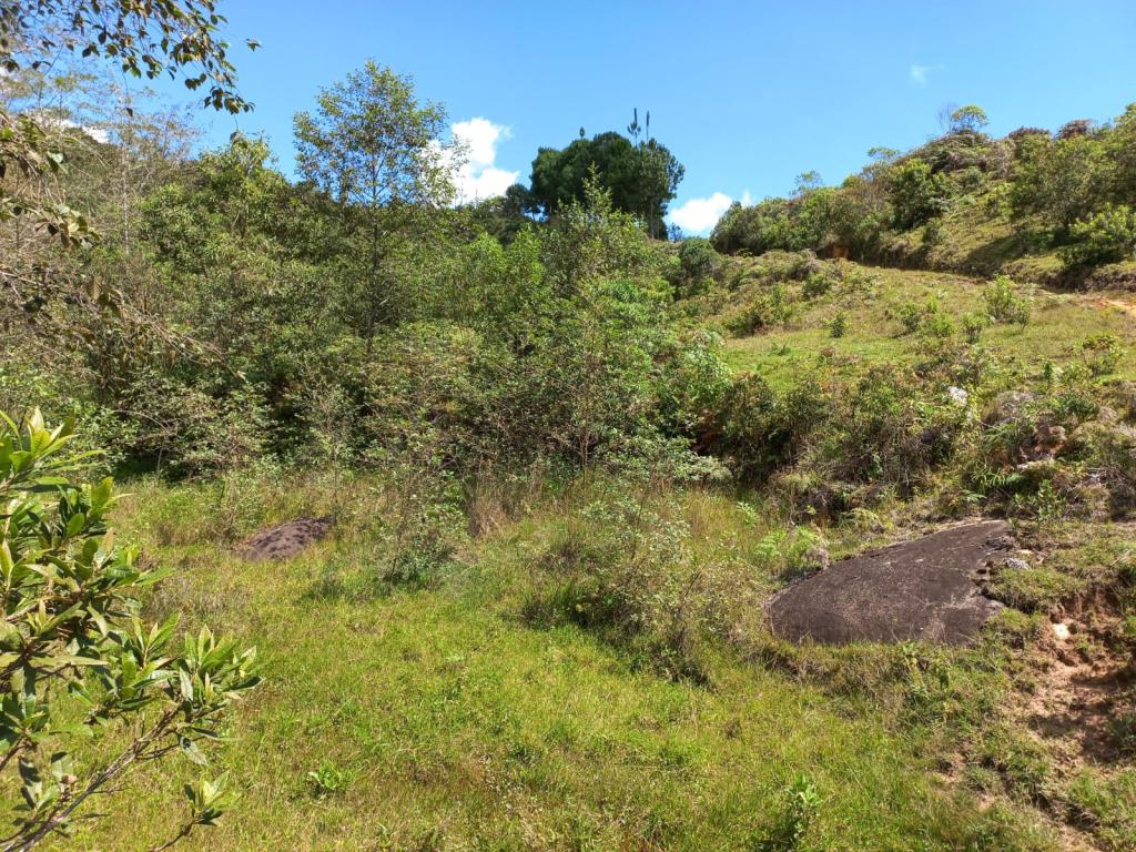 2022060255260333605250710