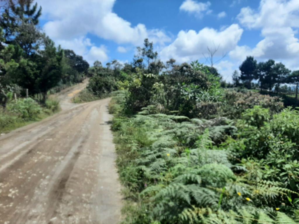 2022060255273520695250710